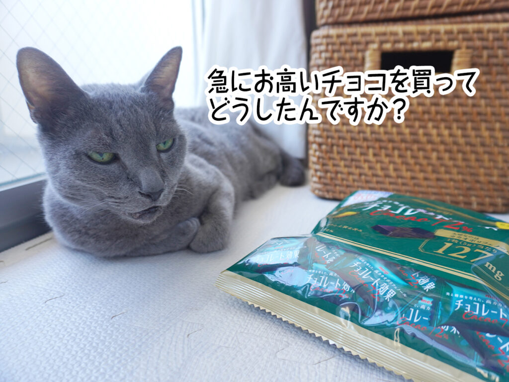 急にお高いチョコを買ってどうしたんですか?