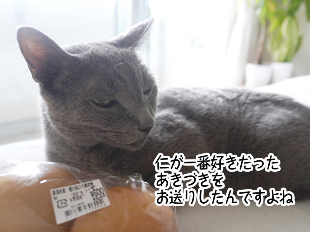仁が一番好きだった「あきづき」をお送りしたんですよね