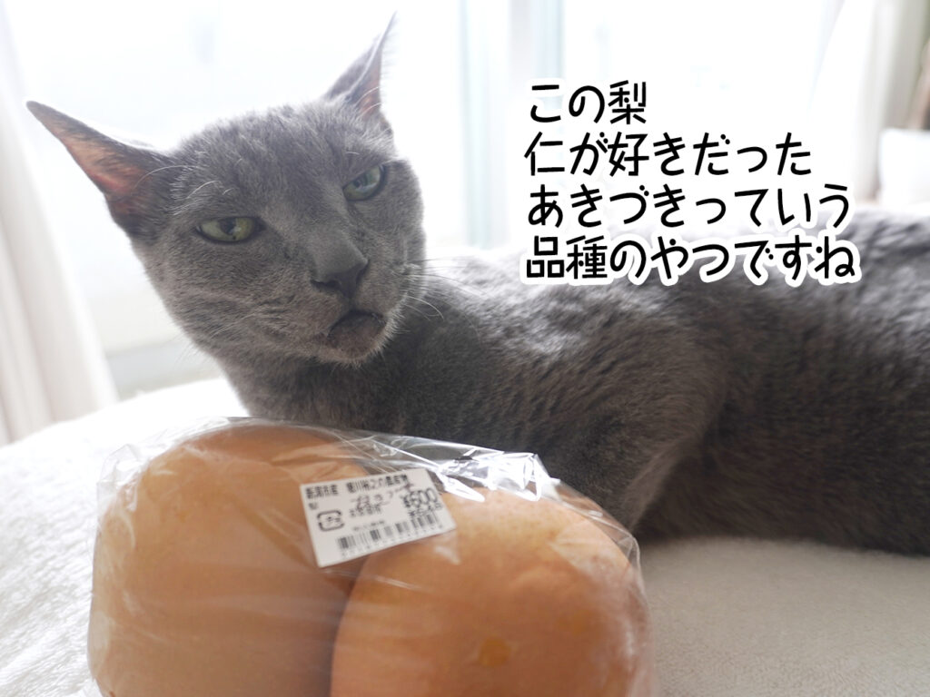 この梨、仁が好きだった「あきづき」っていう品種のやつですね