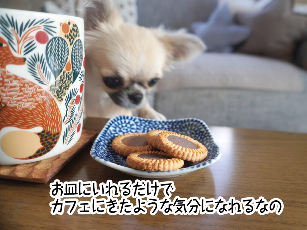 お皿にいれるだけで カフェにきたような気分になれるなの