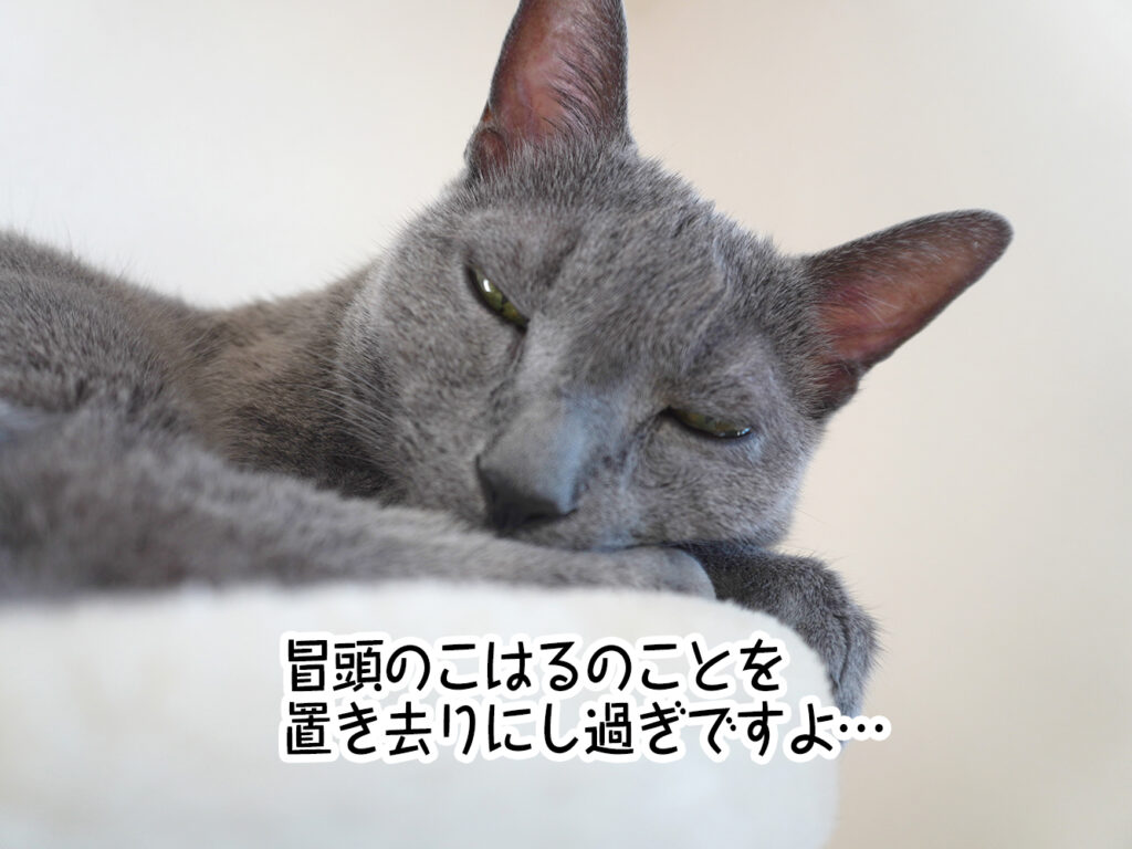 冒頭のこはるのことを置き去りにし過ぎですよ…