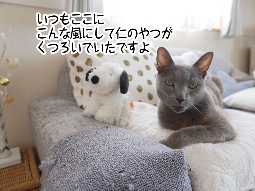 いつもここにこんな風にして仁のやつがくつろいでいたですよ