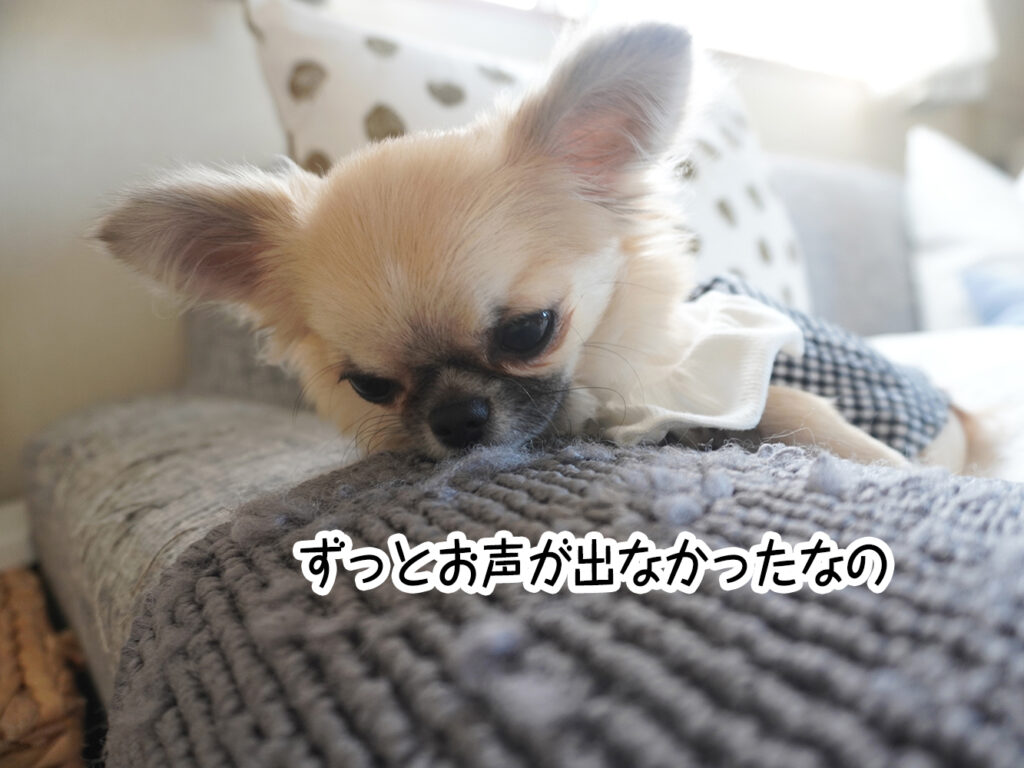 ずっとお声が出なかったなの