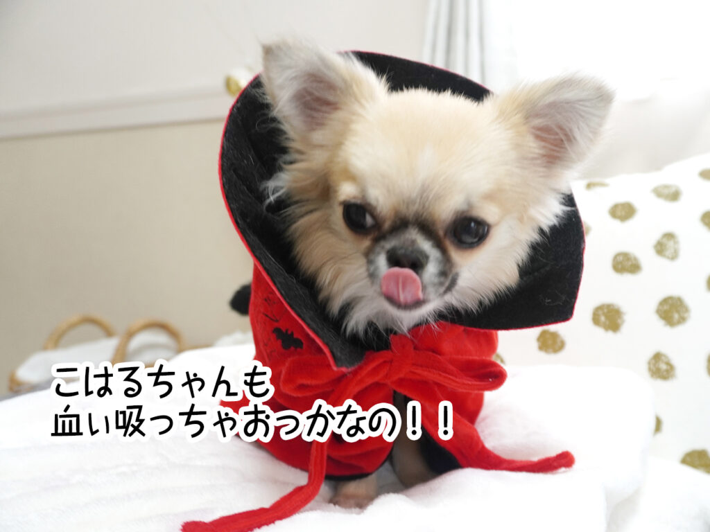 こはるちゃんも血ぃ吸っちゃおっかなの！！