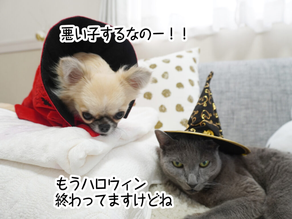 悪い子するなのー！！もうハロウィン終わってますけどね