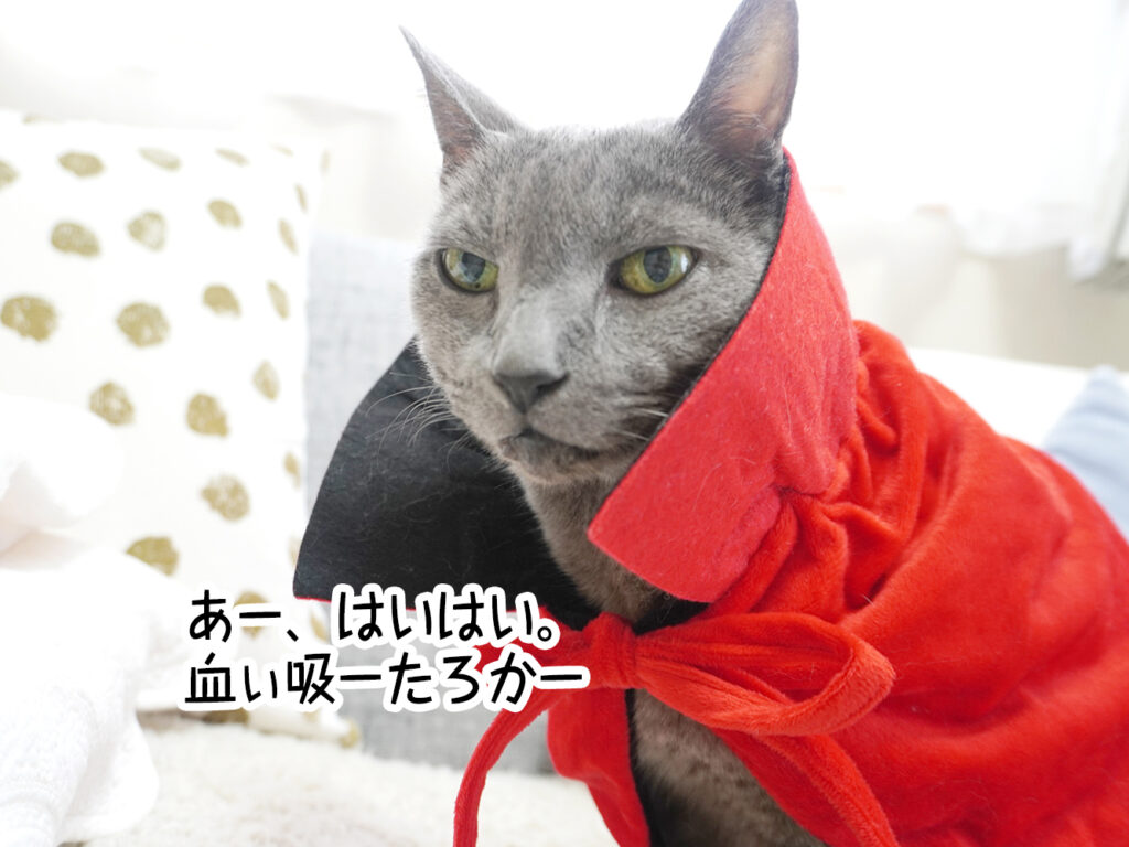 あー、はいはい。血ぃ吸ーたろかー