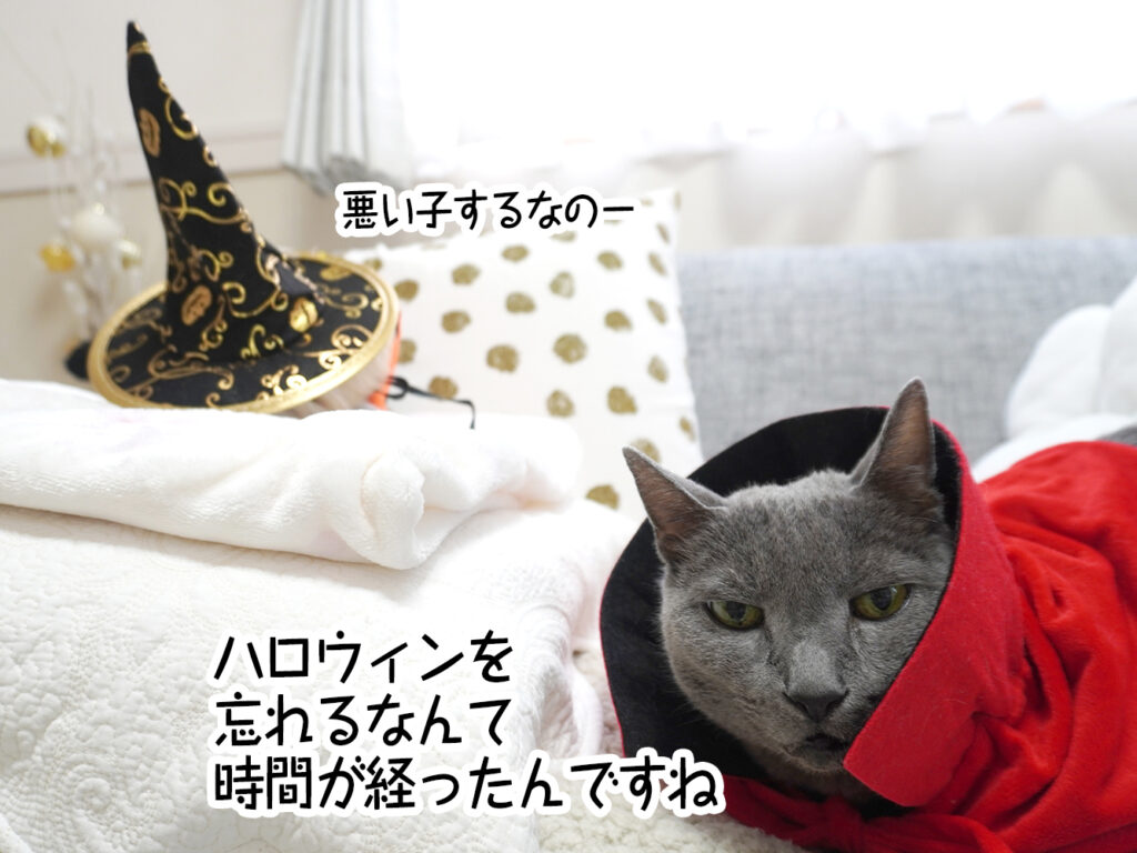 ハロウィンを忘れるなんて時間が経ったんですね