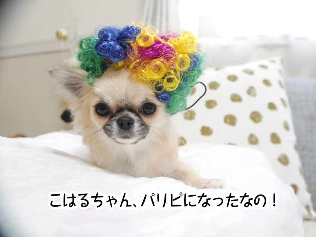 こはるちゃん、パリピになったなの！