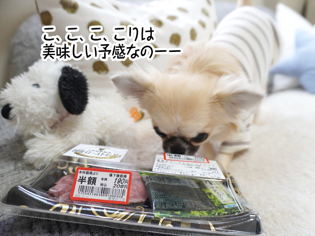 こ、こ、こ、こりは美味しい予感なのーー