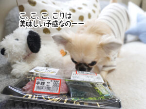 こ、こ、こ、こりは美味しい予感なのーー