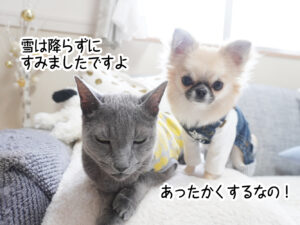 雪は降らずにすみましたですよ