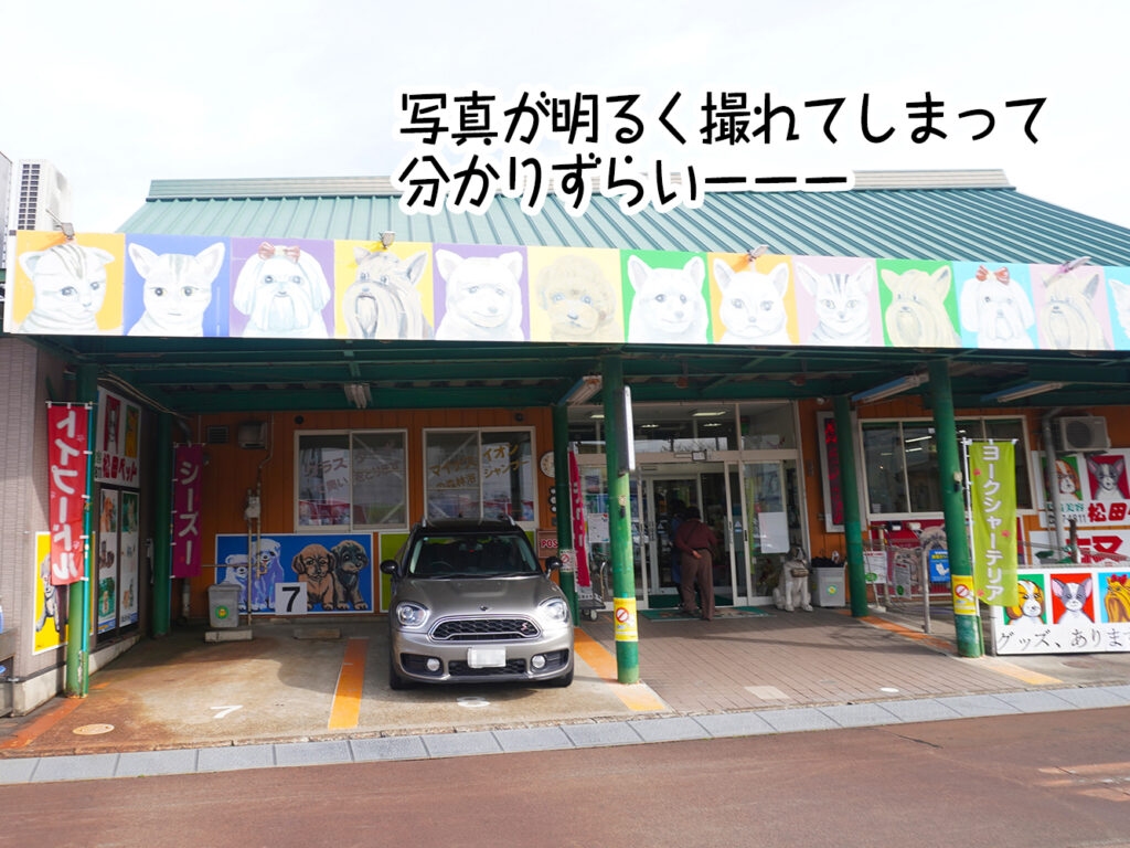 写真が明るく撮れてしまって分かりずらいーーー