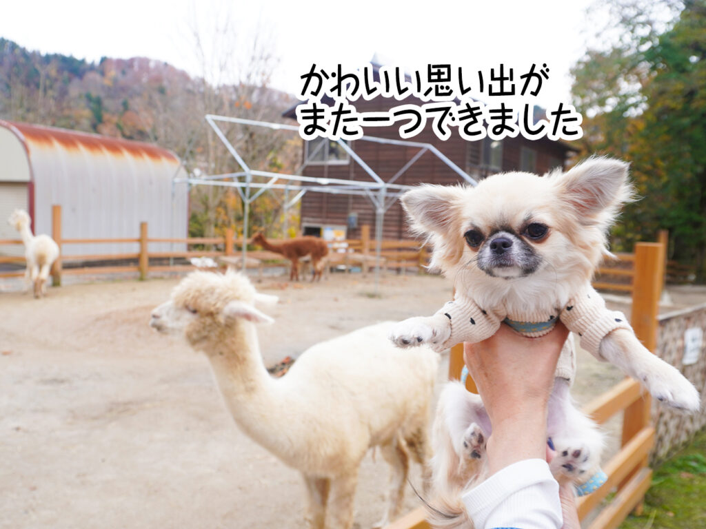 かわいい思い出がまた一つできました