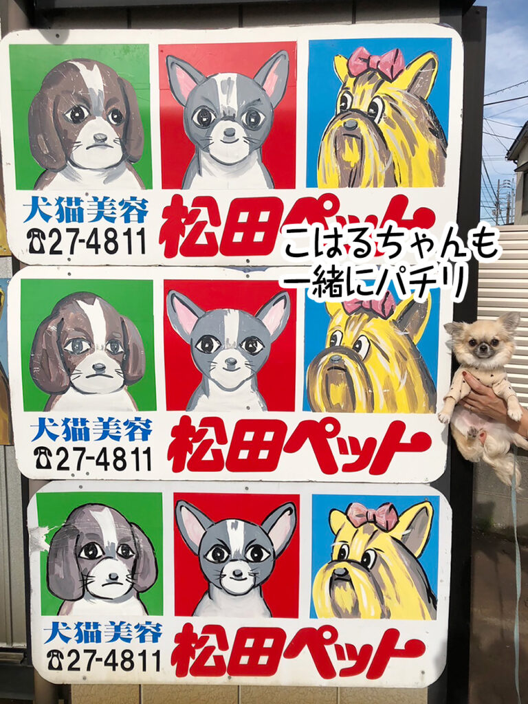 こはるちゃんも一緒にパチリ