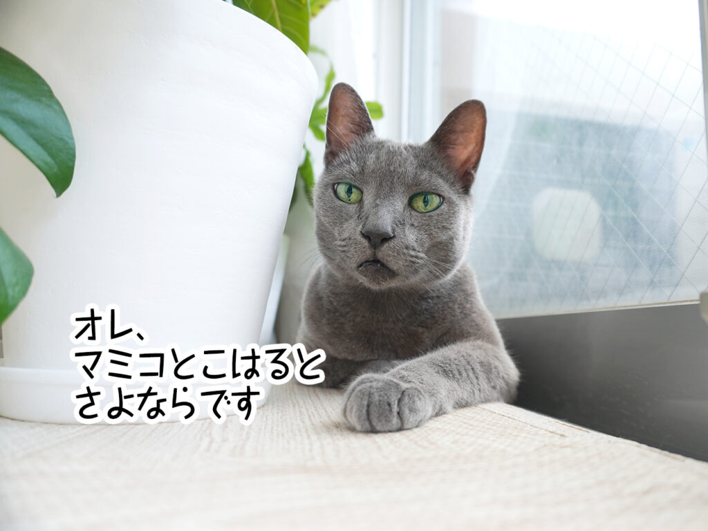 オレ、マミコとこはるとさよならです