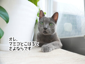 オレ、マミコとこはるとさよならです