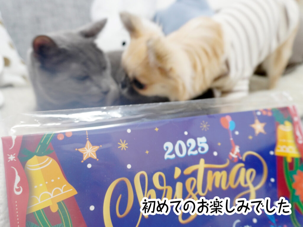 初めてのお楽しみでした