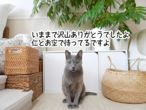 いままで沢山ありがとうでしたよ。仁とお空で待ってるですよ