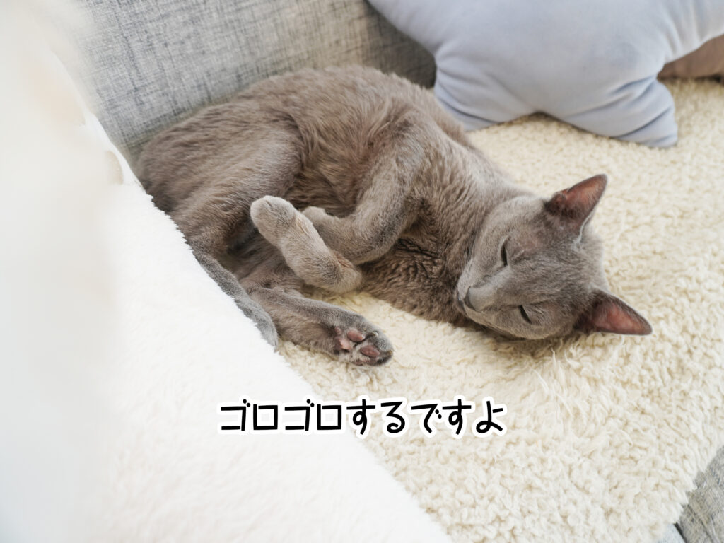 ゴロゴロするですよ