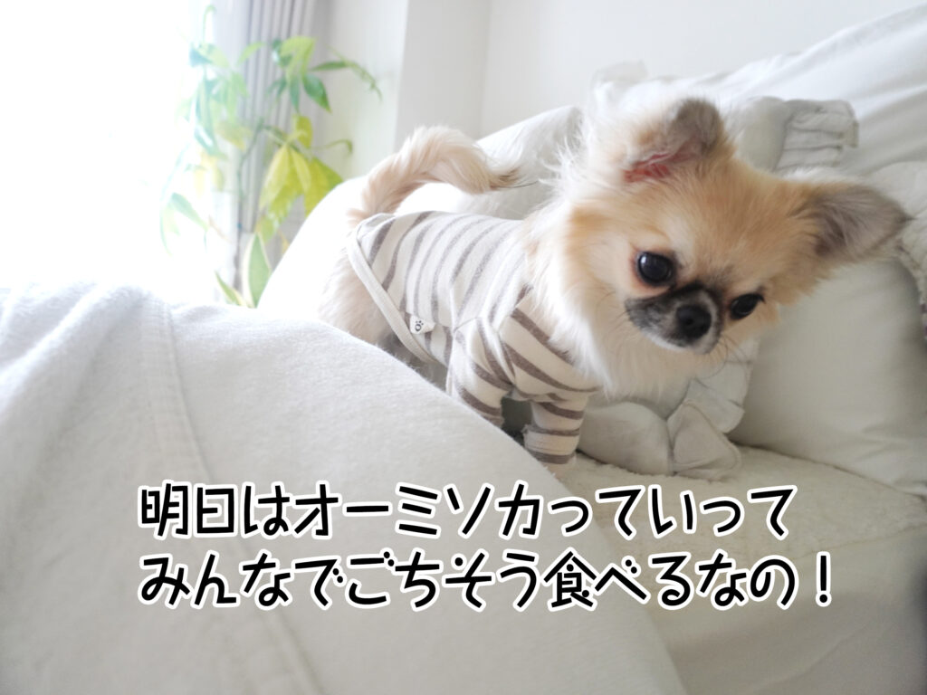 明日はオーミソカっていって みんなでごちそう食べるなの！