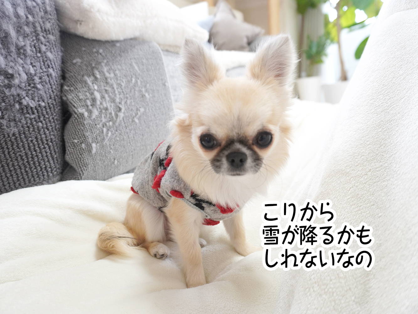 久しぶりにカッスカスに燃え尽きた私の話