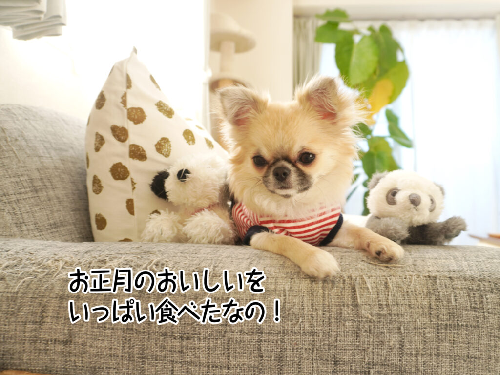 お正月のおいしいを いっぱい食べたなの!