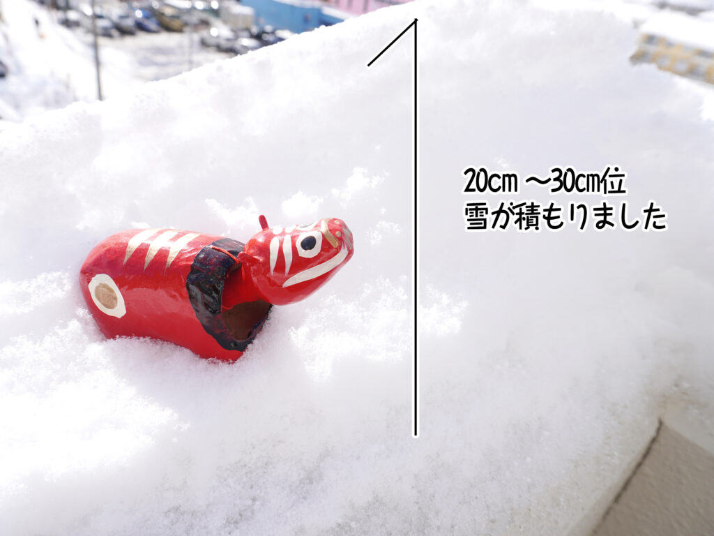 20cm ～30㎝位雪が積もりました