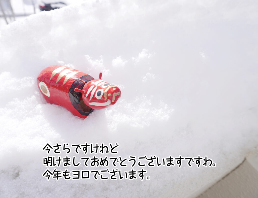 今さらですけれど明けましておめでとうございますですわ。今年もヨロでございます。