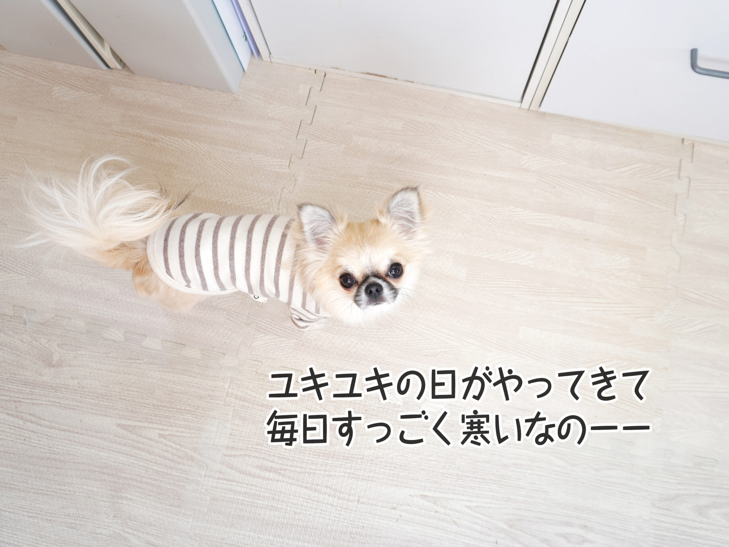 燃え尽きたから見つけられた「自分に対する厳しさ」 ～もっともっと自分に優しくできるようになるぞ！～