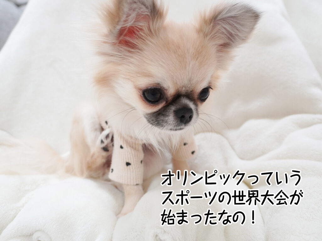 オリンピックっていうスポーツの世界大会が始まったなの！