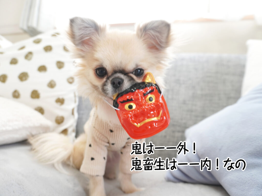 鬼はーー外！ 鬼畜生はーー内！なの