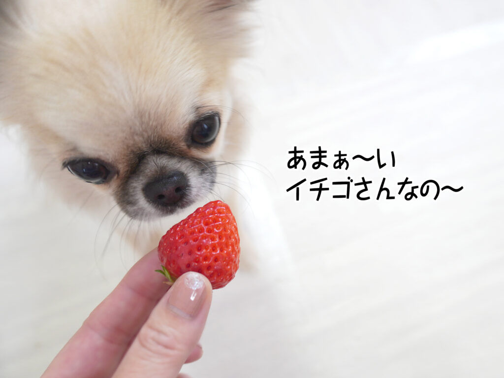 あまぁ~い イチゴさんなの~
