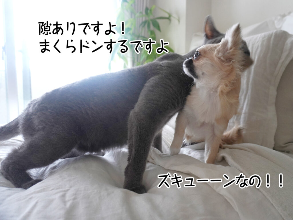 ズキューーンなの！！