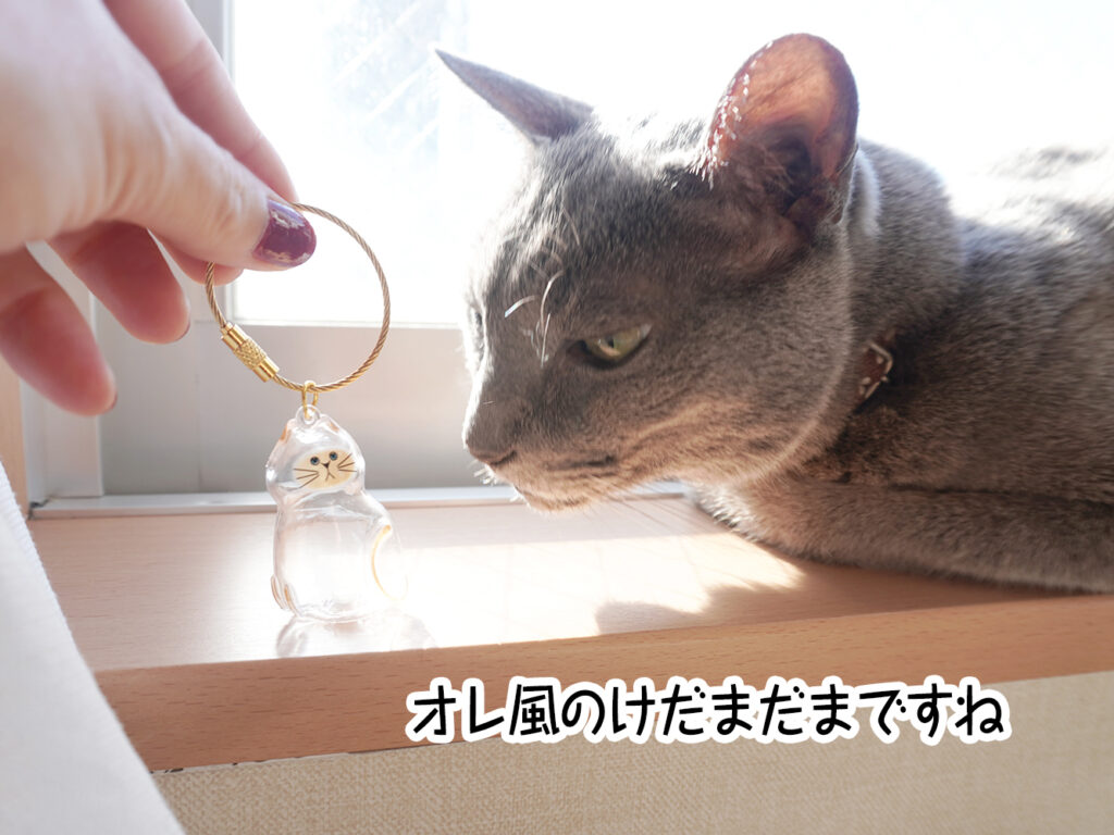 オレ風のけだまだまですね