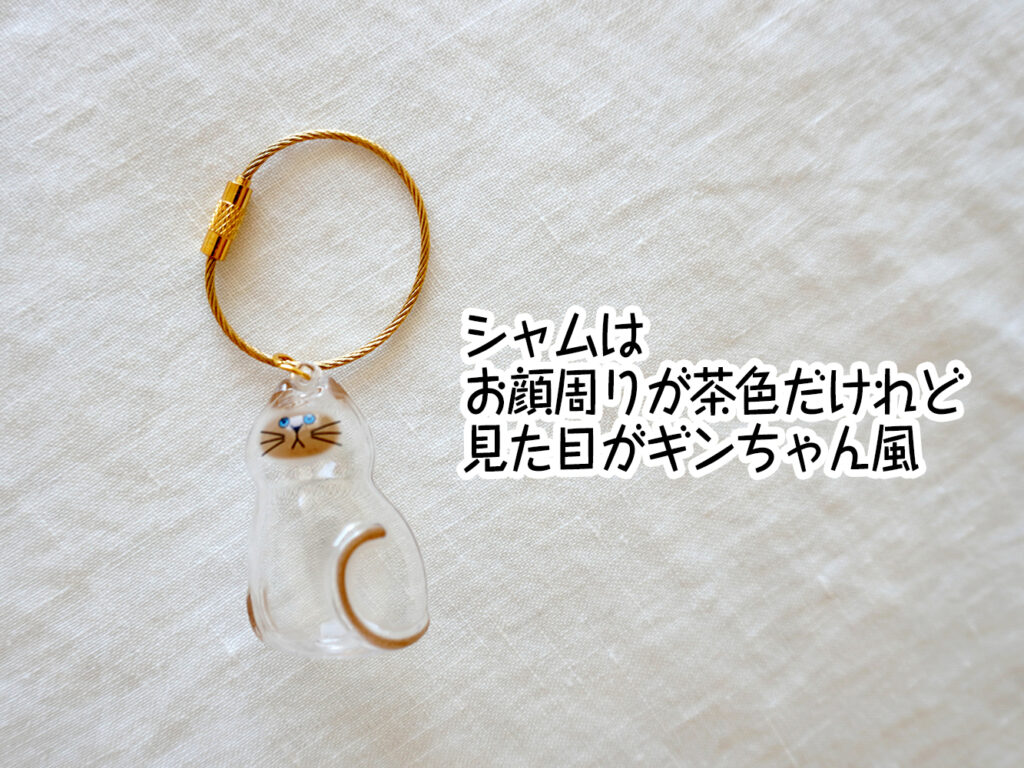 シャムはお顔周りが茶色だけれど見た目がギンちゃん風