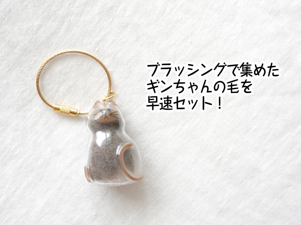 ブラッシングで集めたギンちゃんの毛を早速セット!