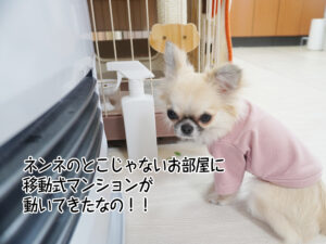 ネンネのとこじゃないお部屋に 移動式マンションが 動いてきたなの！！