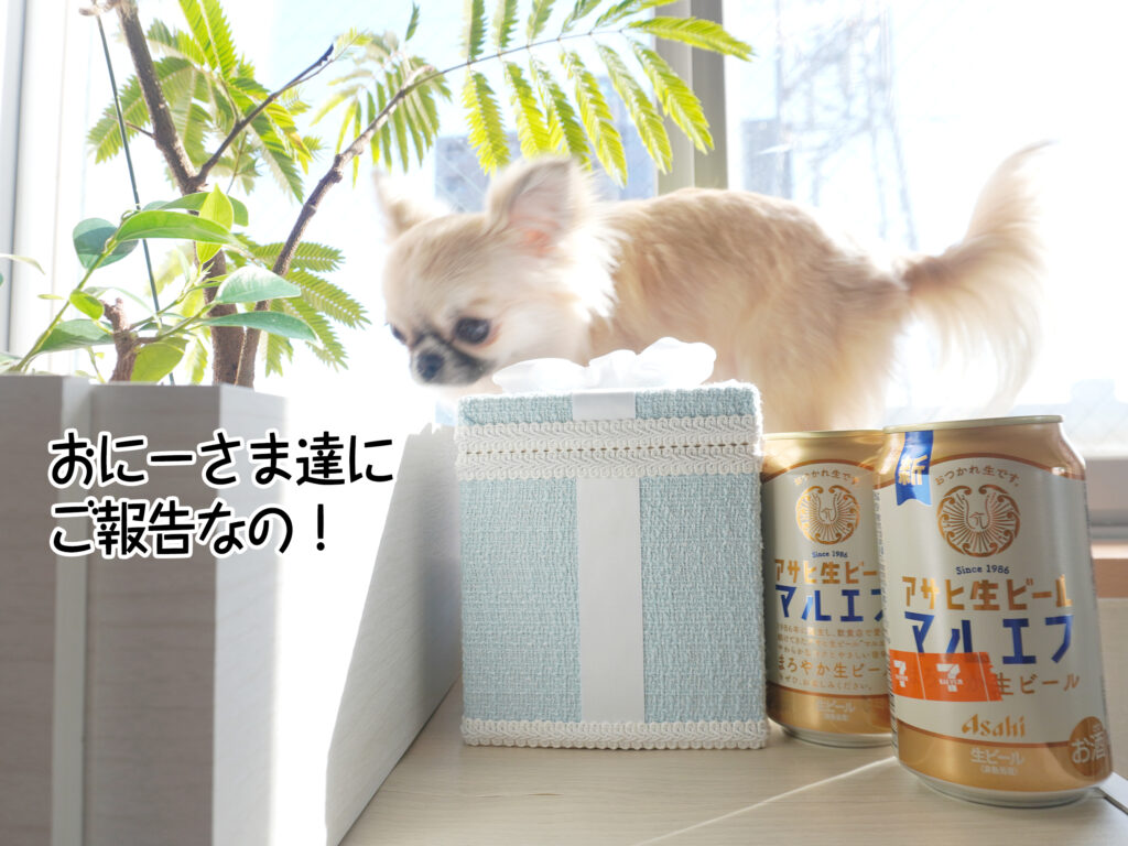 おにーさま達にご報告なの！