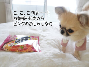 こ、こ、こりはーー！ お雛様の日だから ピンクのおしゅしなの