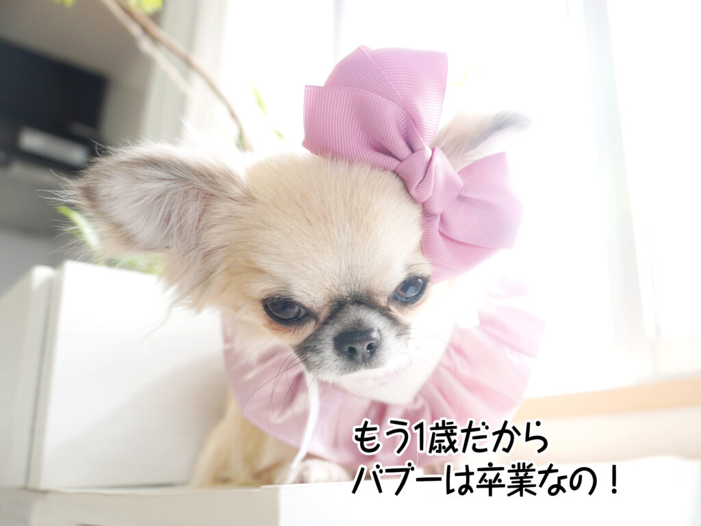 もう1歳だからバブーは卒業なの！