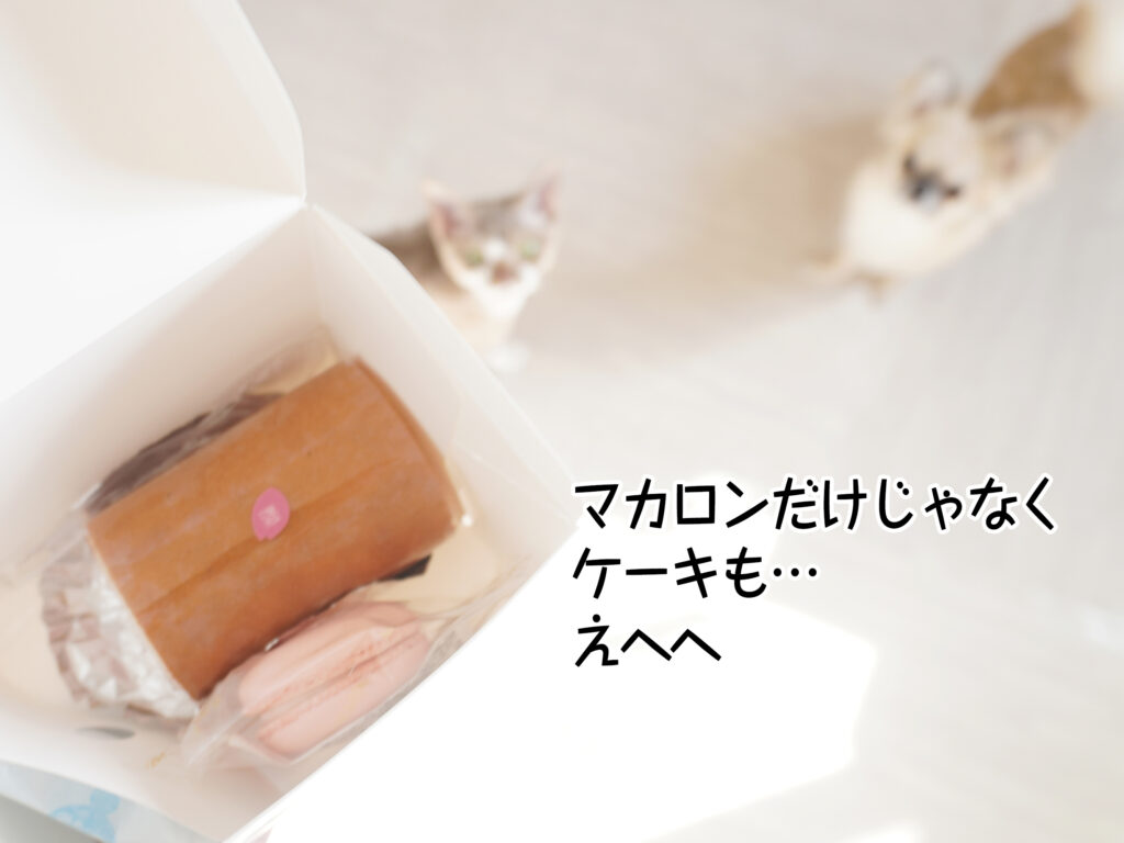 マカロンだけじゃなくケーキも…えへへ