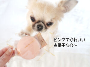 ピンクでかわいい お菓子なの～