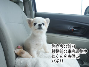 旅立ちの前日 移動前の車内調整中 仁くんをお供にパチリ