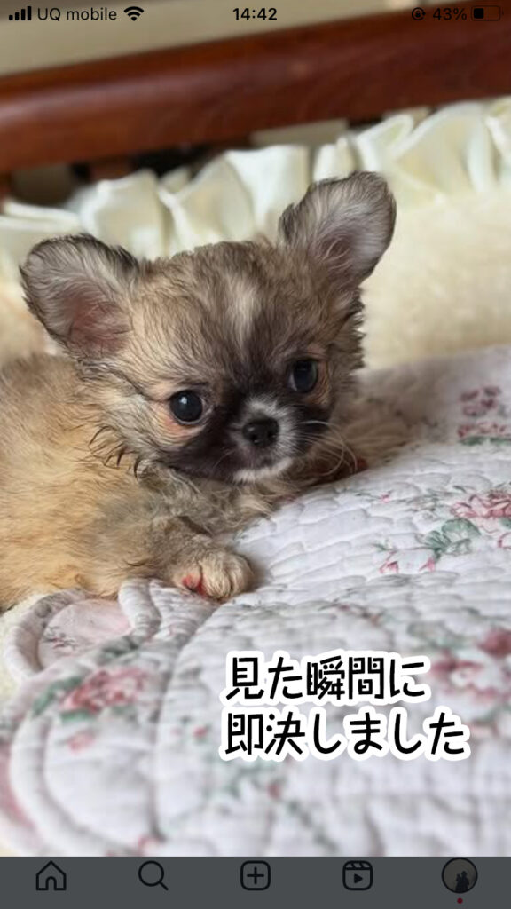 見た瞬間に即決しました