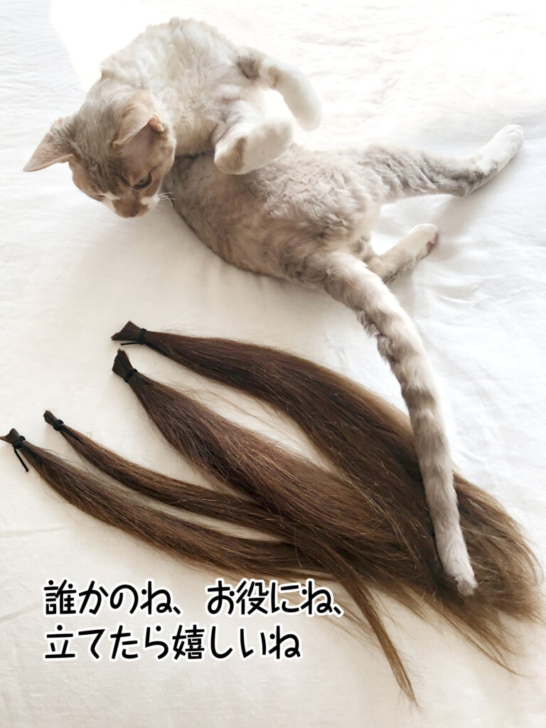 誰かのね、お役にね、立てたら嬉しいね