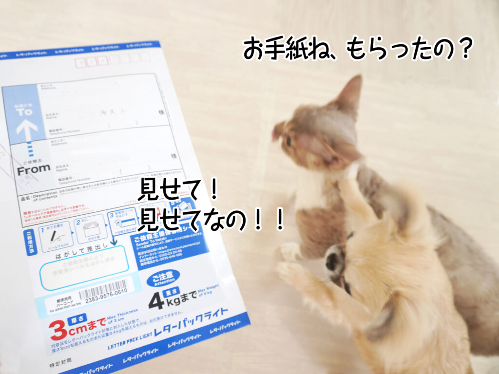 お手紙ね、もらったの？