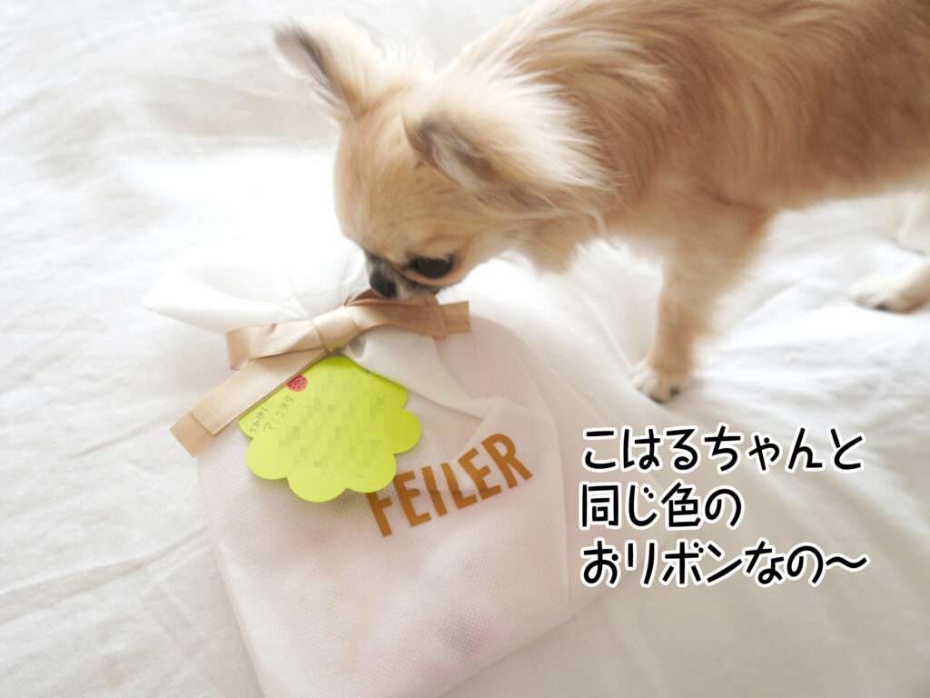 こはるちゃんと同じ色のおリボンなの～