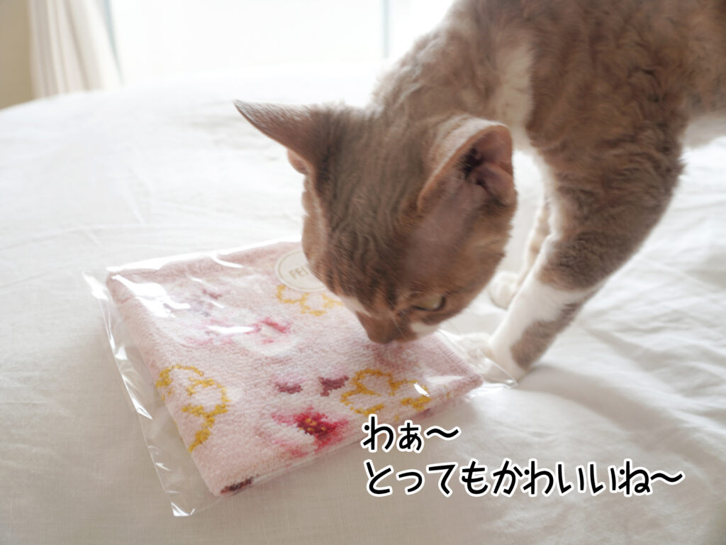 わぁ～とってもかわいいね～