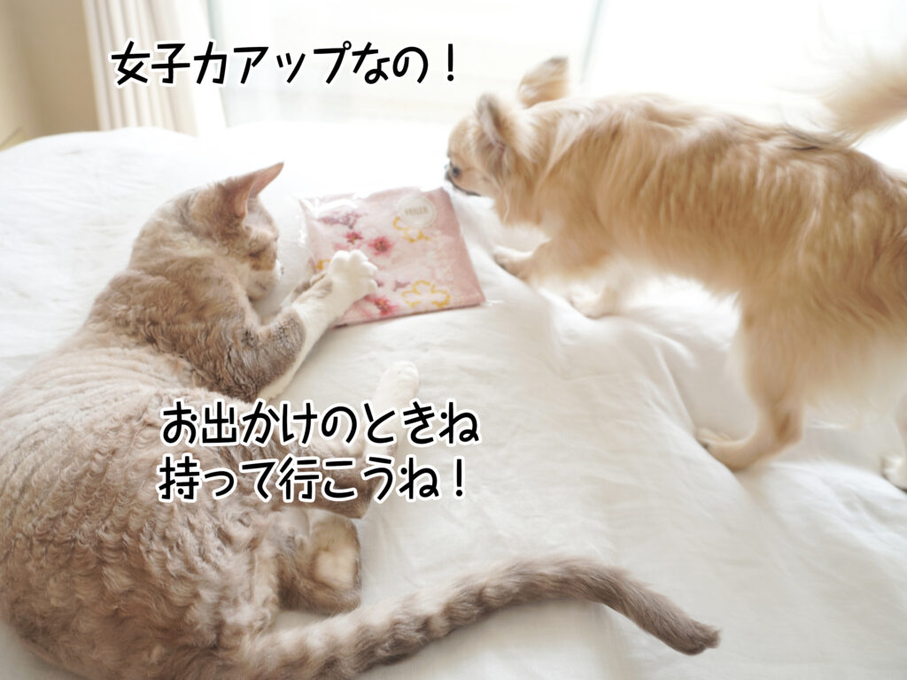 お出かけのときね持って行こうね！