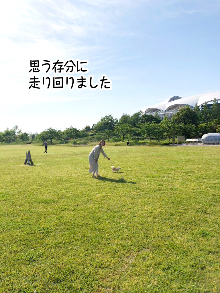 思う存分に走り回りました